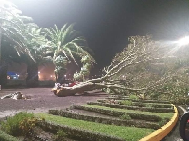 Depois da depressão 