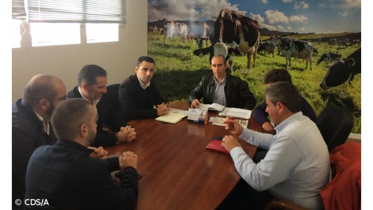 CDS-PP pede “nova estratégia” para setor leiteiro açoriano