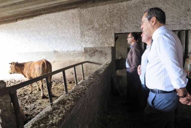 Governo avança com novas reformas antecipadas na lavoura açoriana