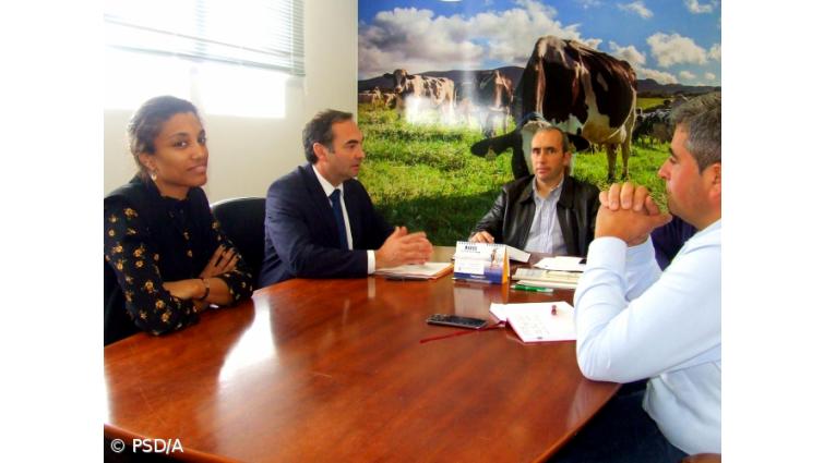 PSD diz que roteiro para neutralidade carbónica é atentado à agricultura açoriana