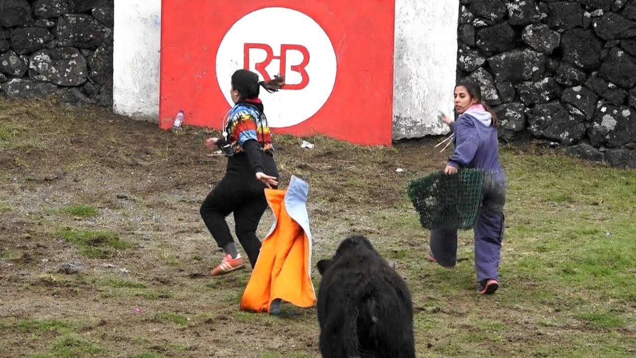 Depois das dúvidas a certeza: Tenta dos Estudantes este sábado na Terceira 